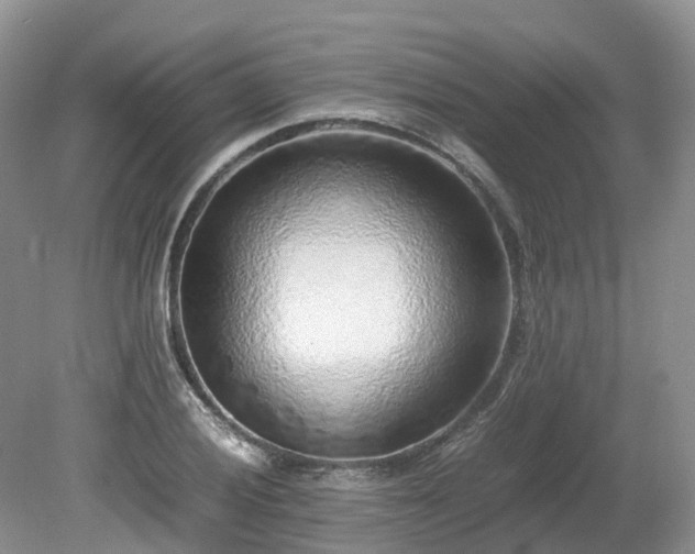 X0000080141028200612081250