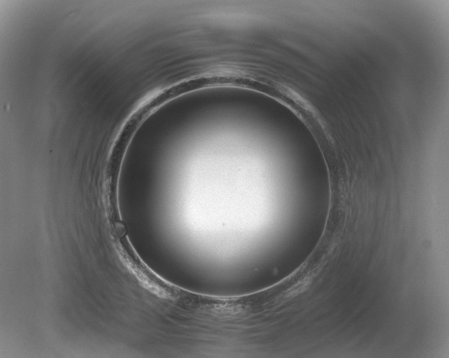 X0000080141029200612081250