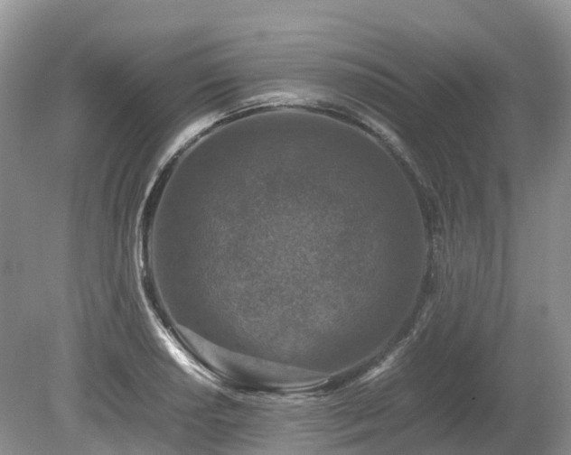 X0000080141034200612081250