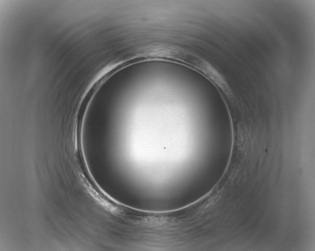 X0000080141036200612081250