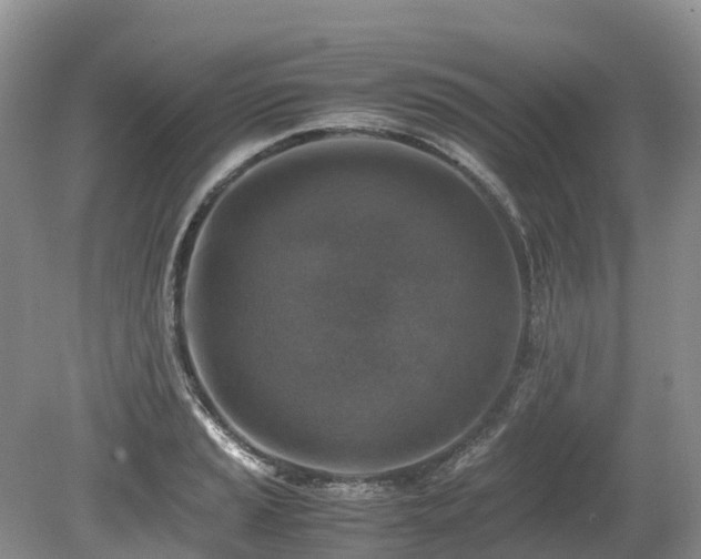 X0000080141037200612081250