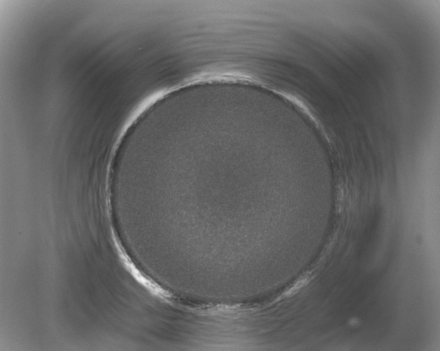 X0000080141038200612081251