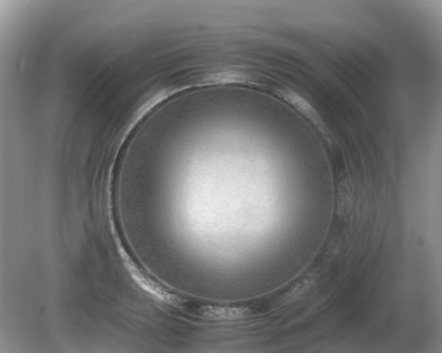 X0000080141039200612081251