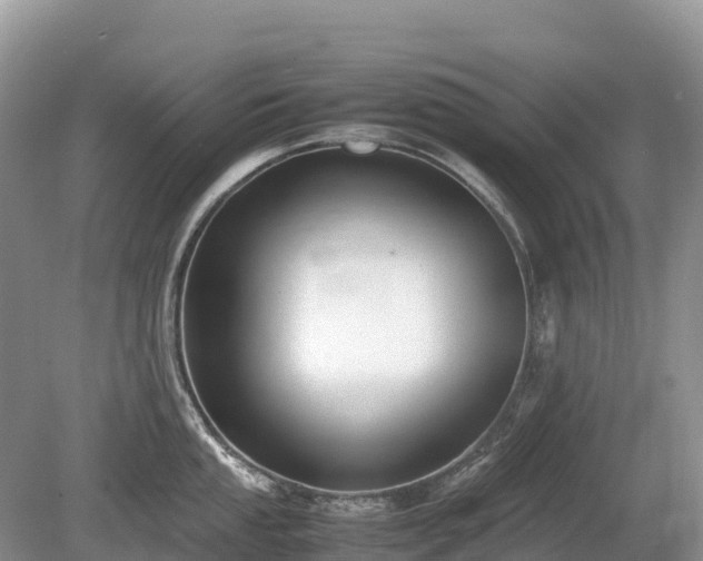 X0000080141053200612081251