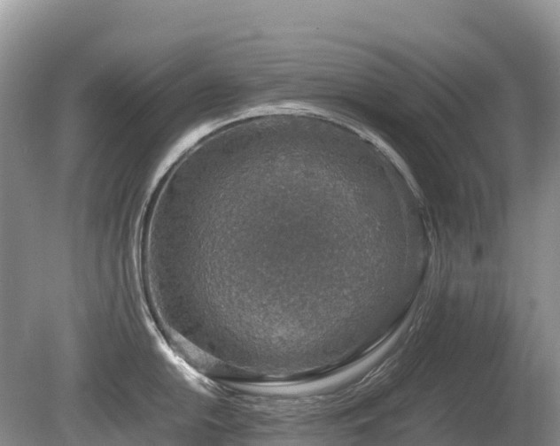 X0000080141054200612081251