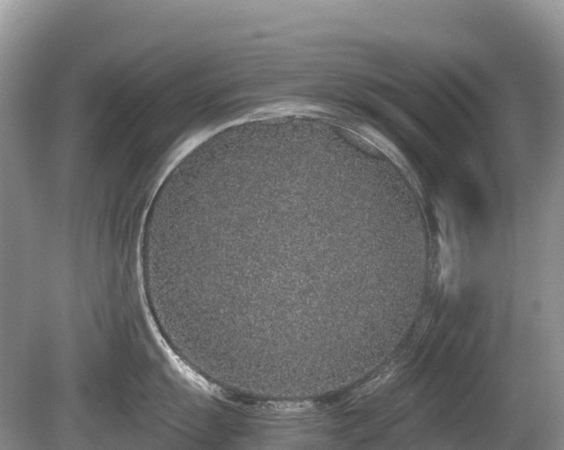 X0000080141055200612081251