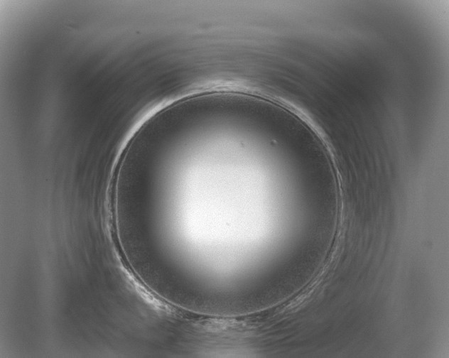 X0000080141056200612081251