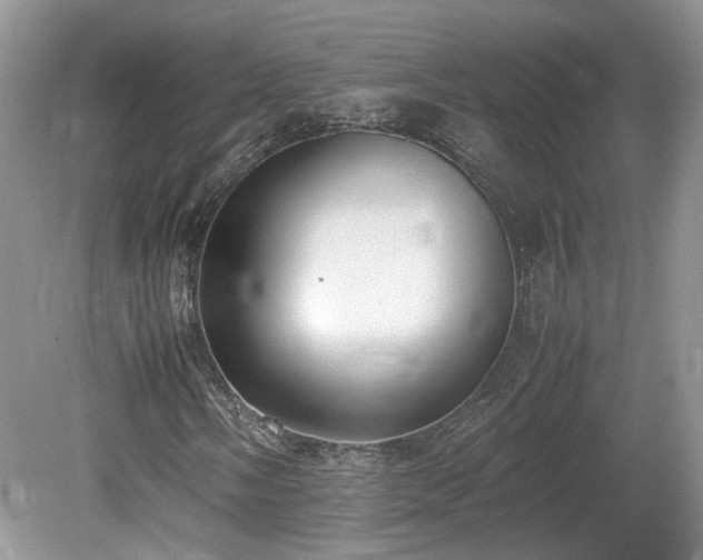 X0000080141058200612081250
