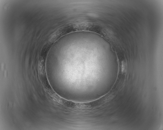 X0000080141059200612081250