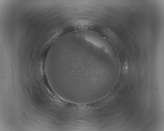 X0000080141060200612081250