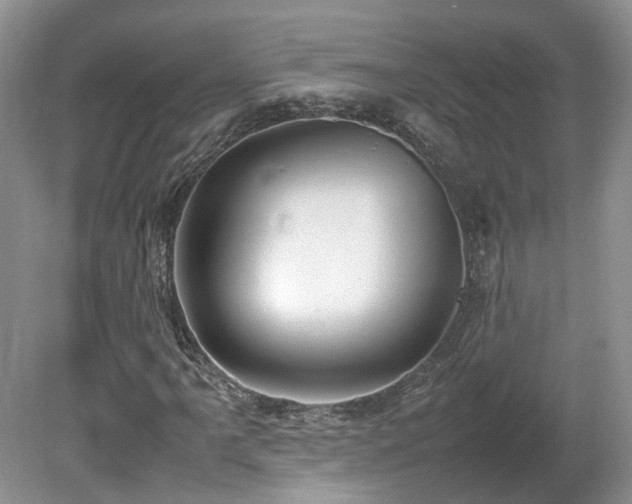 X0000080141061200612081250