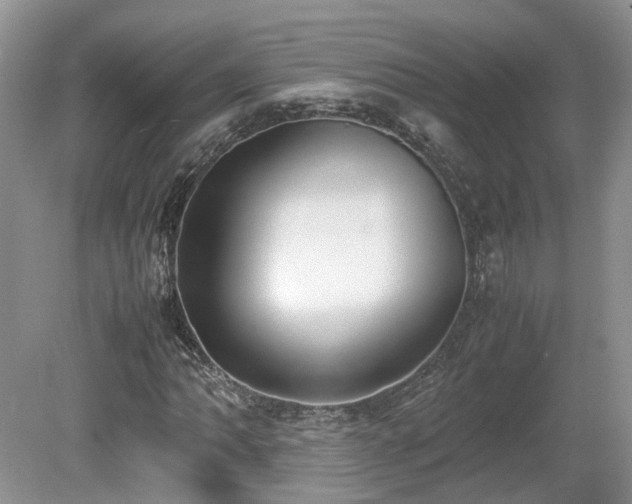 X0000080141062200612081250