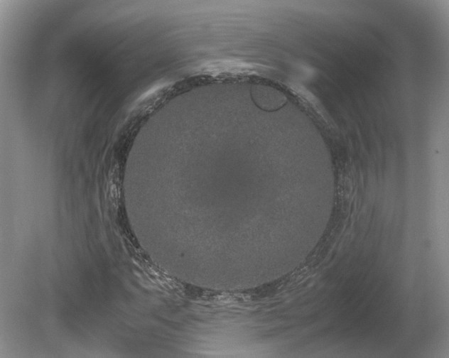 X0000080141063200612081250