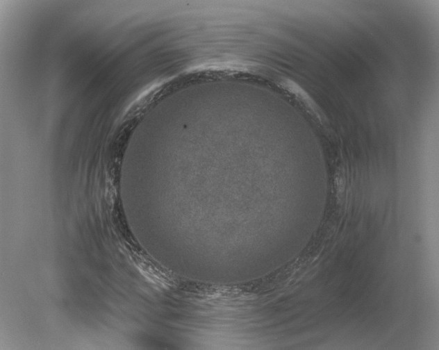 X0000080141064200612081250