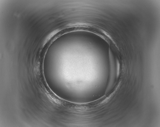 X0000080141066200612081250