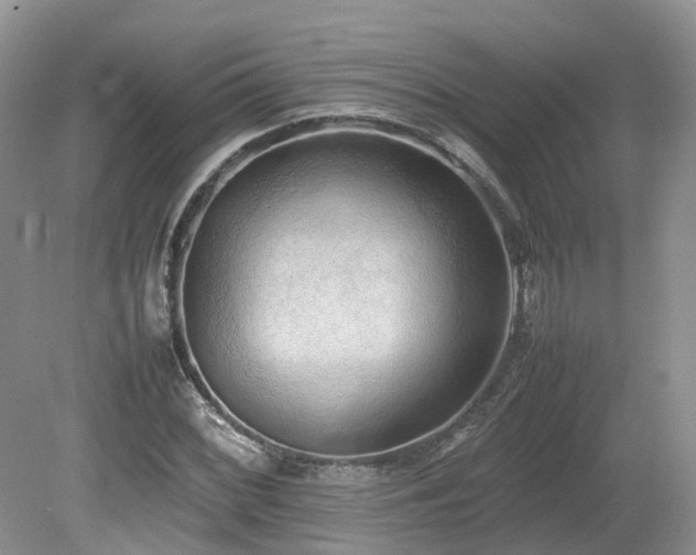 X0000080141068200612081250