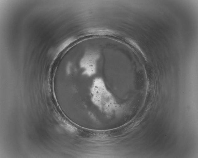 X0000080141071200612081250