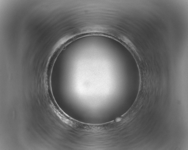 X0000080141072200612081250