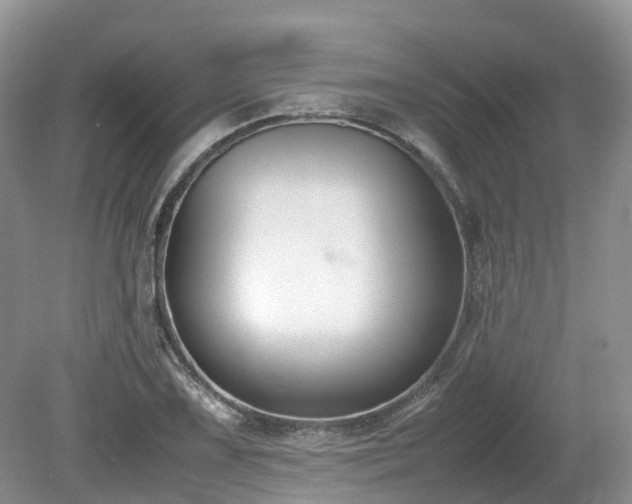 X0000080141075200612081250