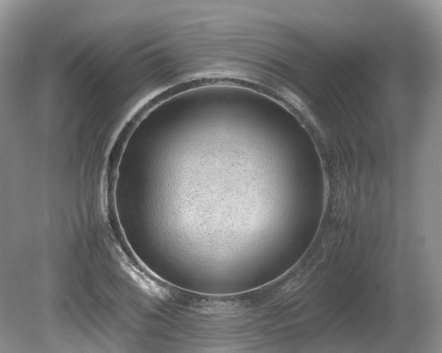X0000080141076200612081250