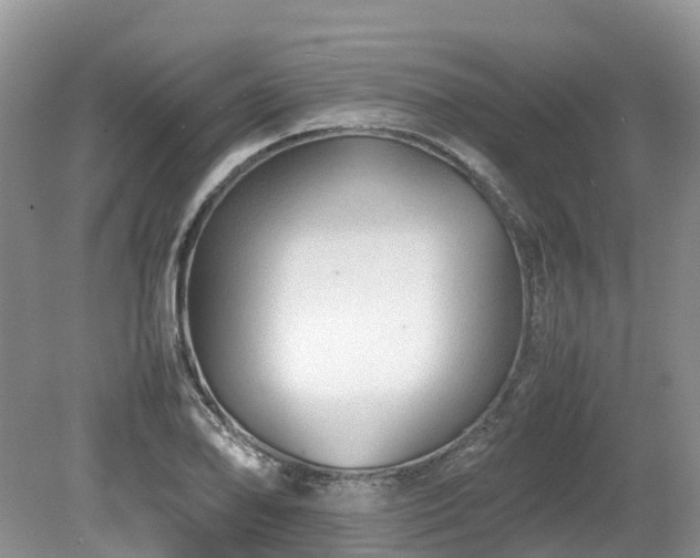 X0000080141078200612081250