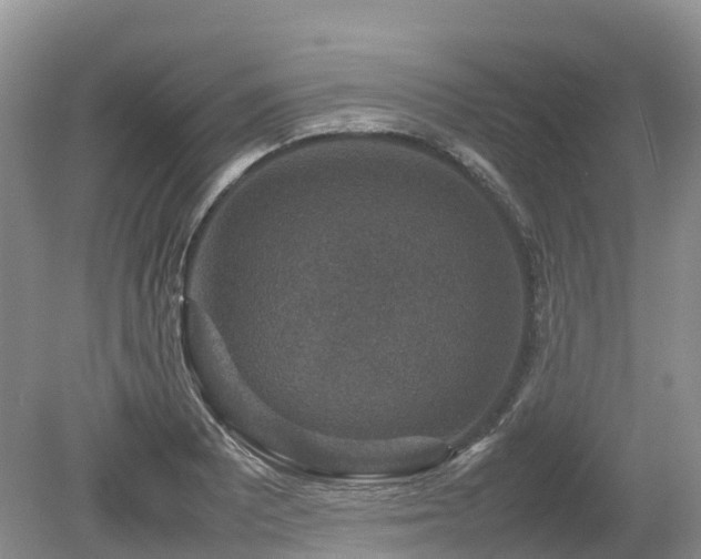 X0000080141081200612081250