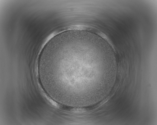 X0000080141083200612081250