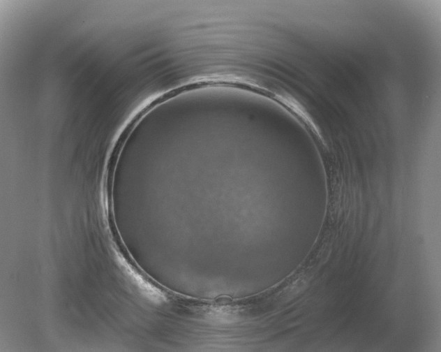 X0000080141084200612081250