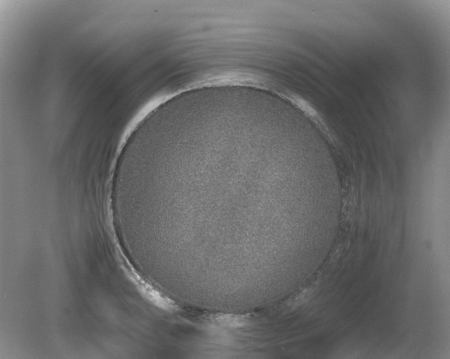X0000080141086200612081250