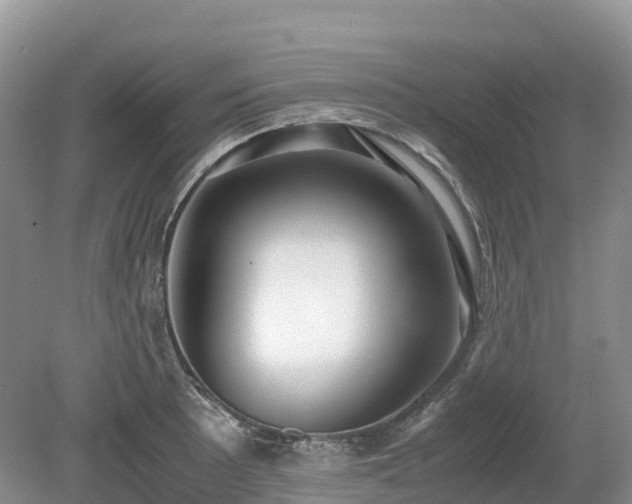 X0000080141089200612081249