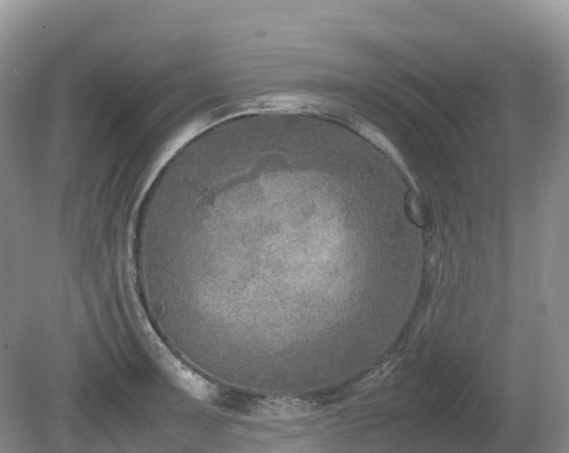 X0000080141091200612081249