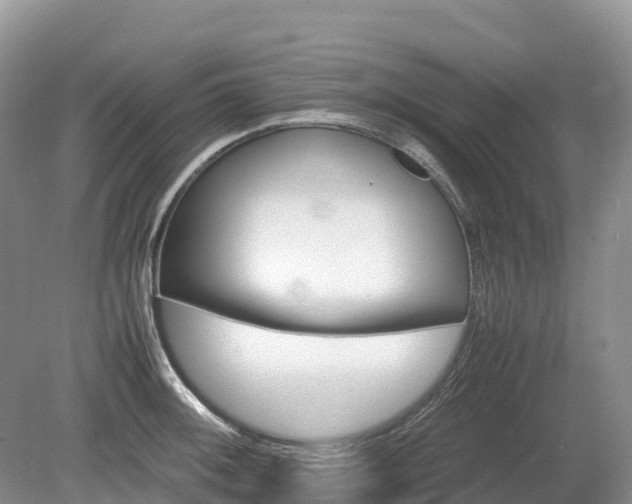 X0000080141092200612081249