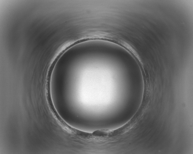 X0000080141093200612081249