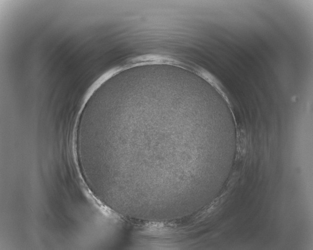 X0000080141098200612081249