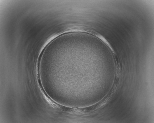 X0000080141101200612081249