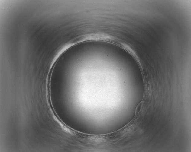 X0000080141103200612081249