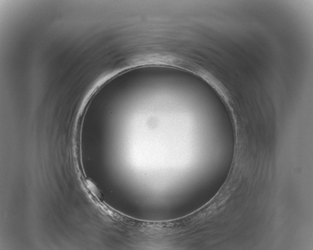 X0000080141104200612081249