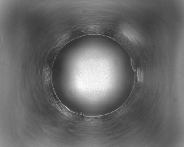 X0000080141107200612081248