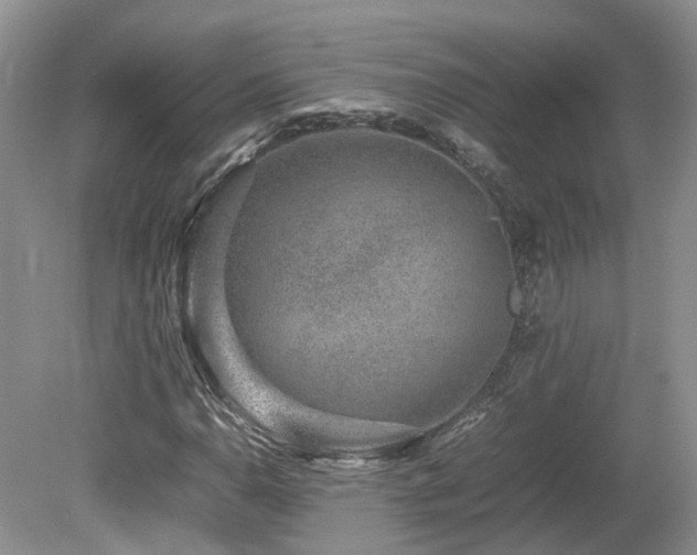 X0000080141110200612081249