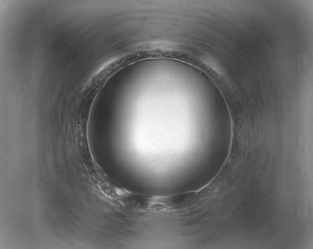 X0000080141112200612081249