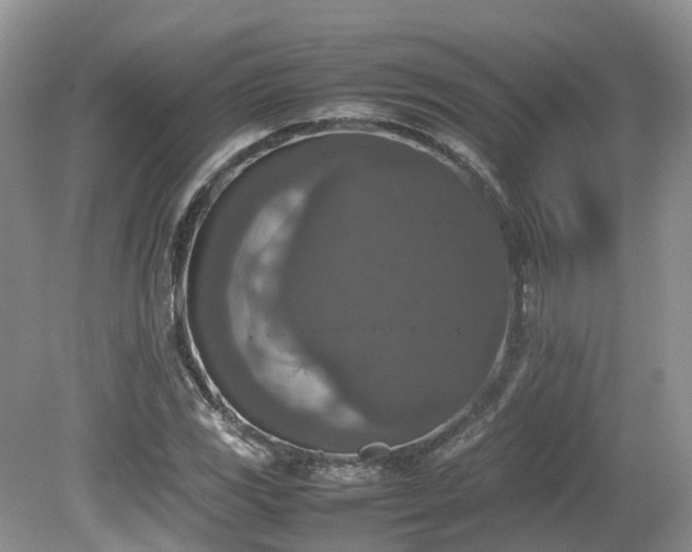 X0000080141117200612081249