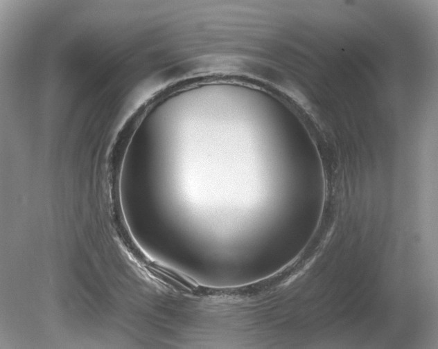 X0000080141118200612081249