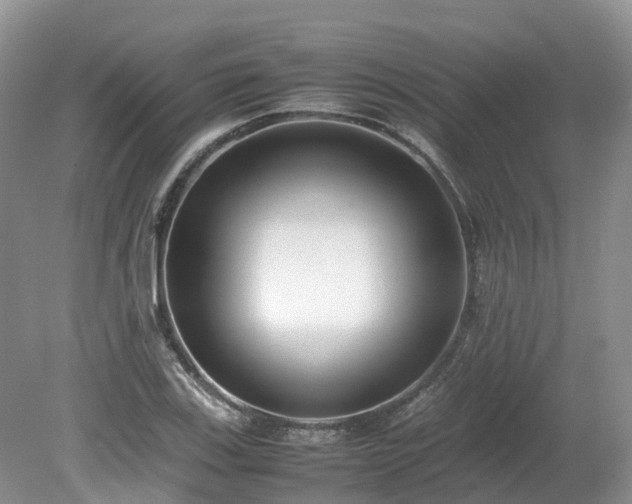 X0000080141123200612081249