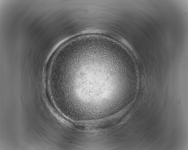 X0000080141124200612081249