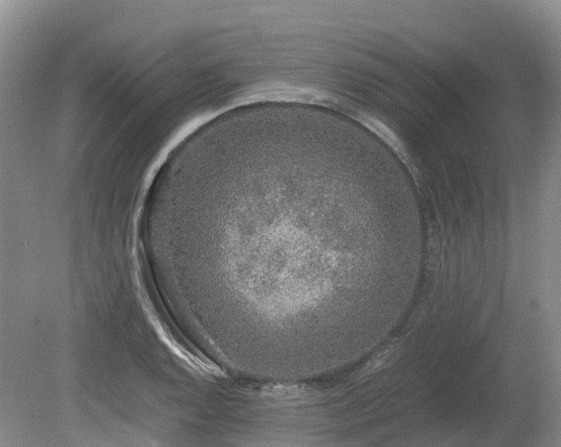 X0000080141128200612081249