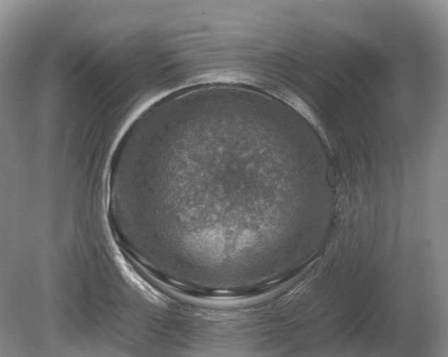 X0000080141132200612081249