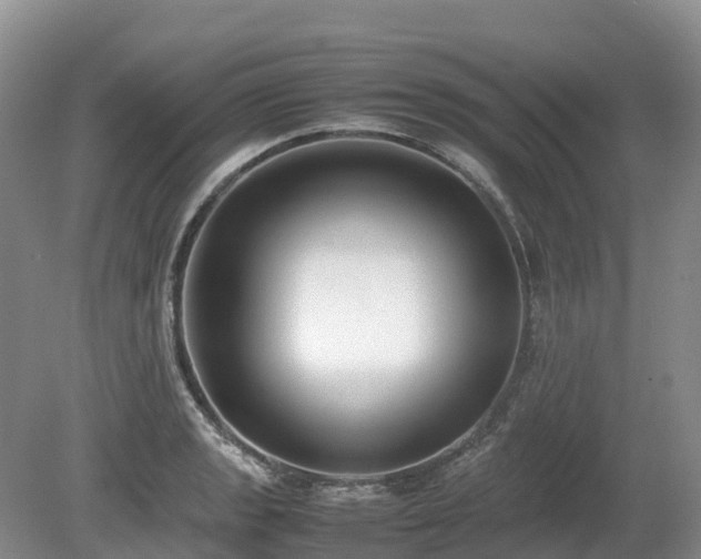 X0000080141133200612081249