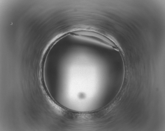 X0000080141136200612081249