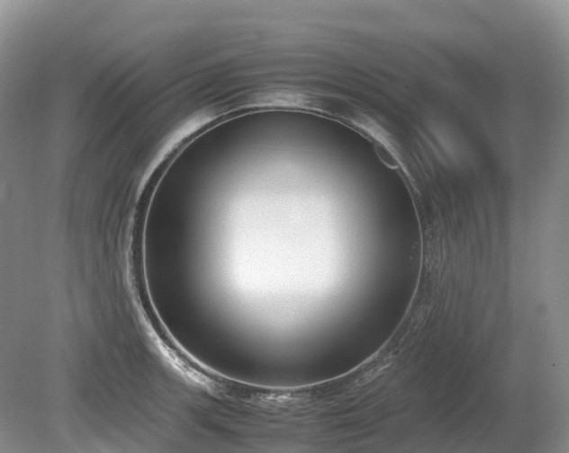 X0000080141139200612081249