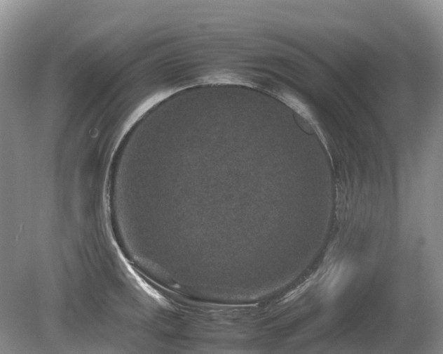 X0000080141141200612081249